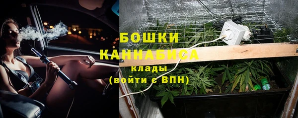 прущая мука Богородск